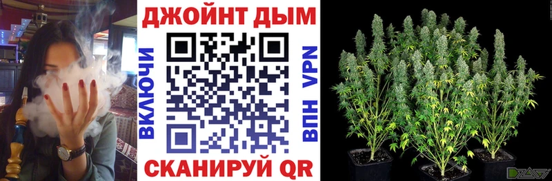 Продажа наркотиков Щёлково Конопля  Меф  Галлюциногенные грибы  Гашиш  Кокаин 