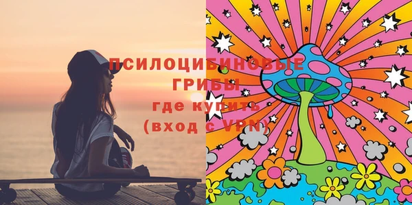 spice Зерноград