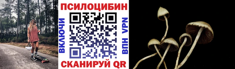 сколько стоит  Щёлково  Галлюциногенные грибы Psilocybe 